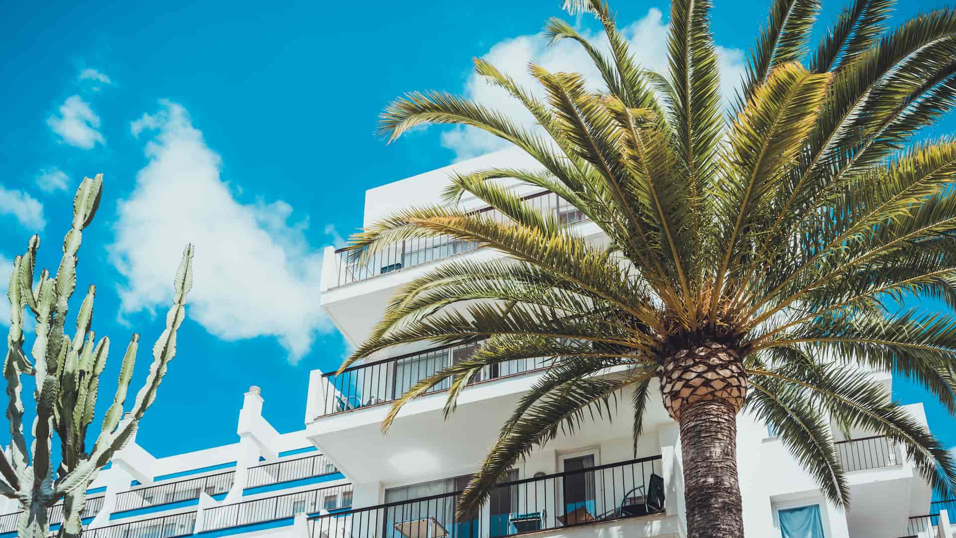 low-angle-view-of-palm-tree-near-luxury-resort-hot.jpg