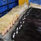 Bulk Production_WH_600x600px